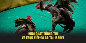 đá gà thomo avt